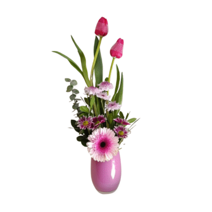 Tulipanes fucsias