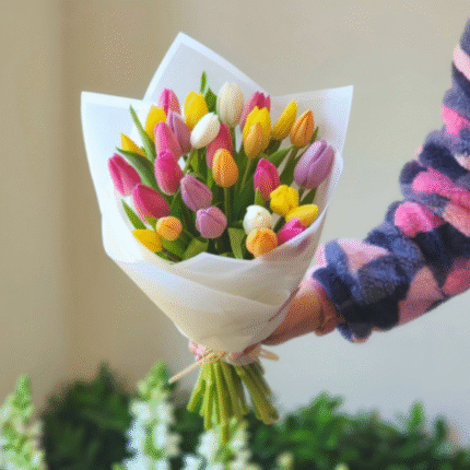 TULIPANES
